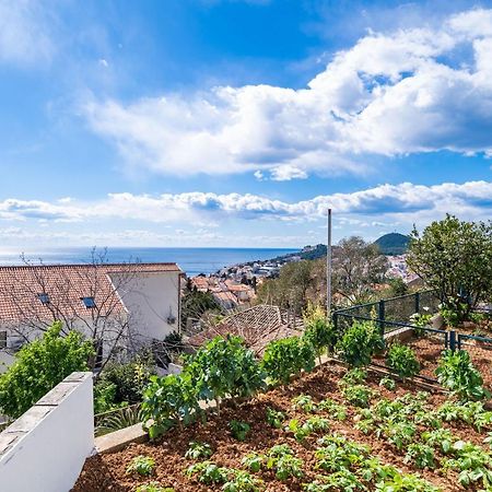 Apartment Debos Ντουμπρόβνικ Εξωτερικό φωτογραφία